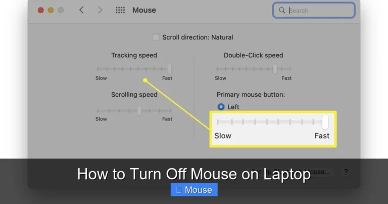 How to Turn Off Mouse on Laptop