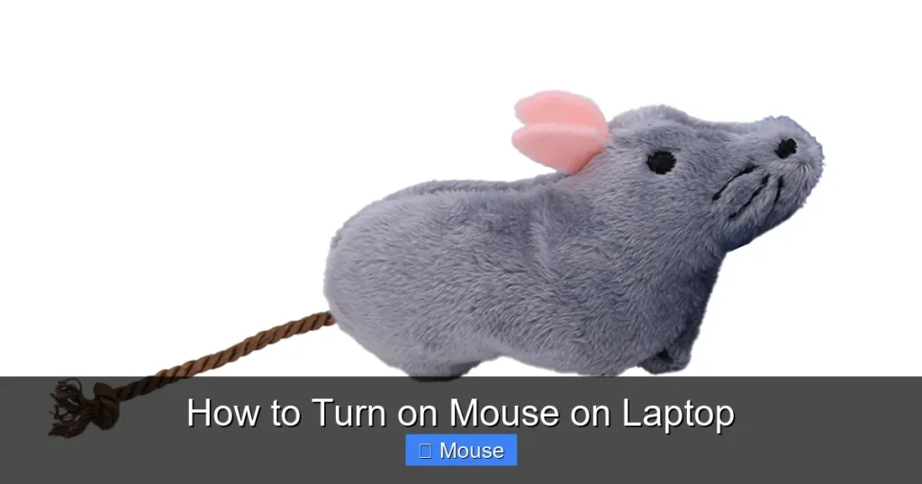 How to Turn on Mouse on Laptop
