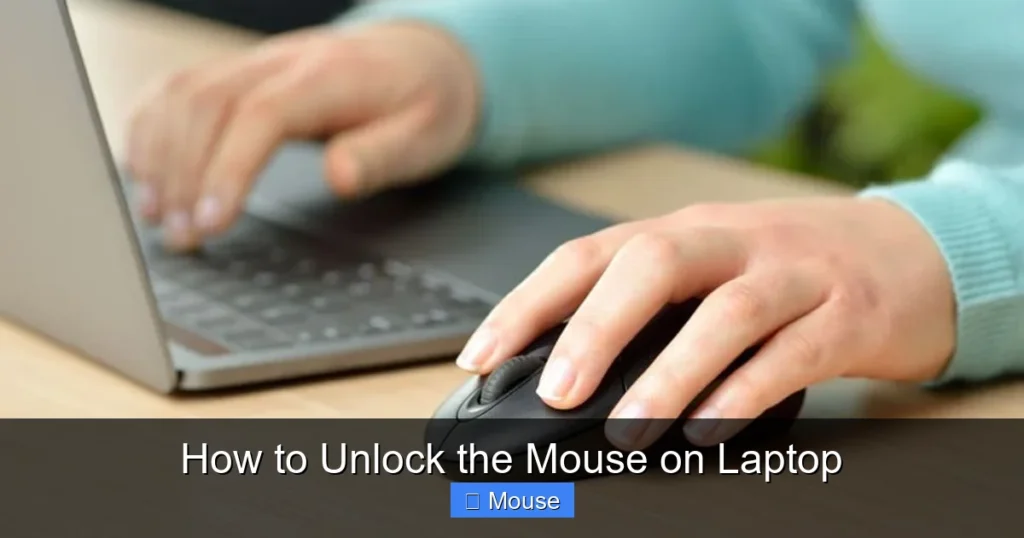 How to Unlock the Mouse on Laptop