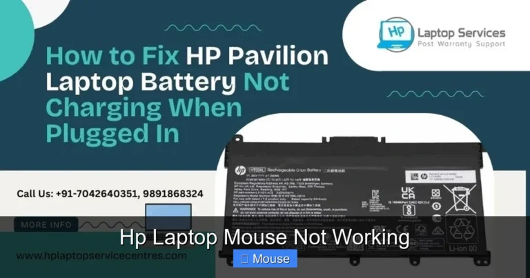 Hp Laptop Mouse Not Working