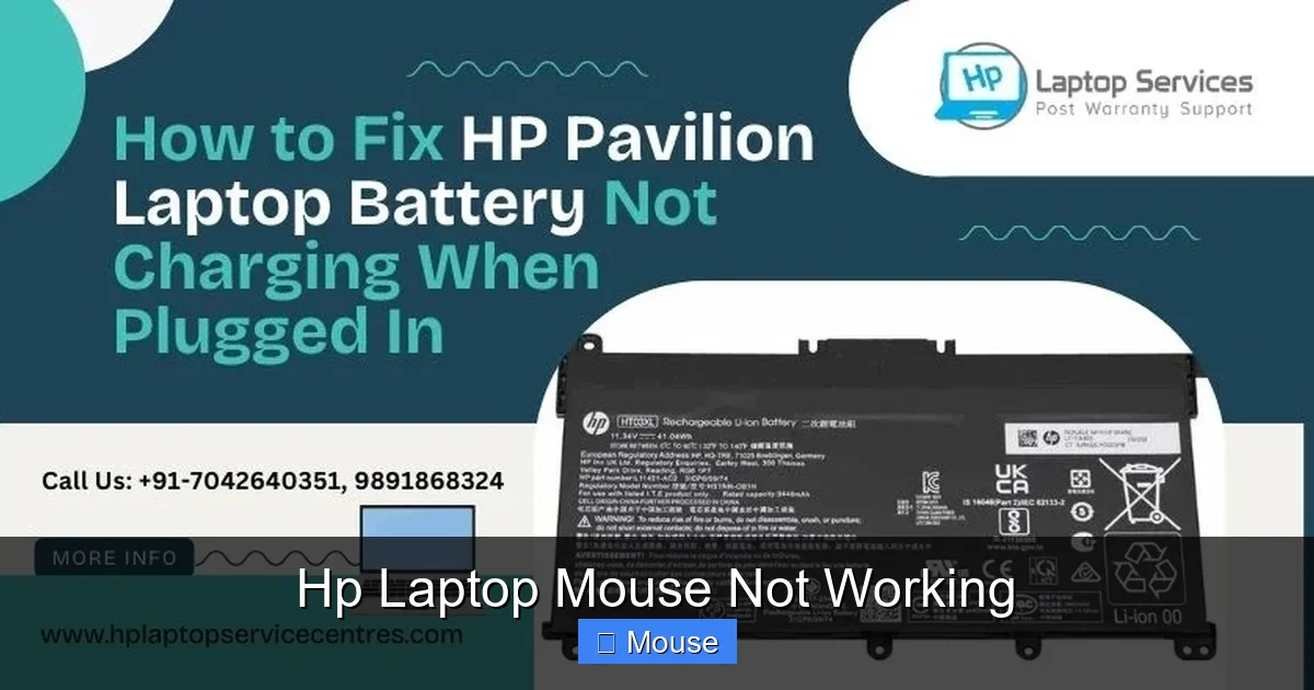 Hp Laptop Mouse Not Working