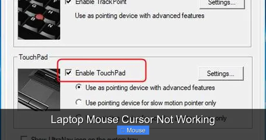 Laptop Mouse Cursor Not Working