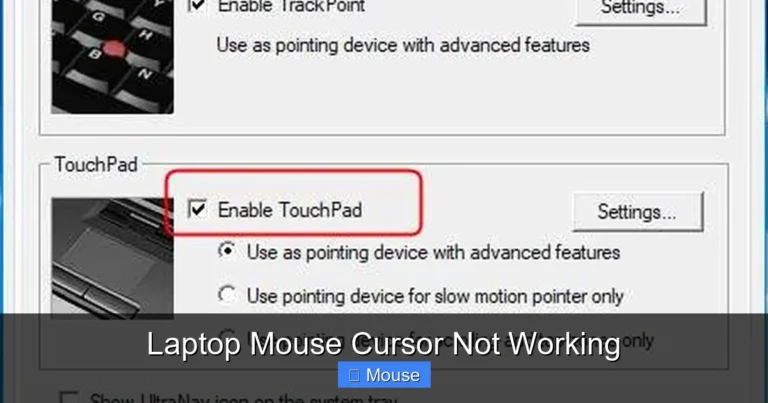 Laptop Mouse Cursor Not Working