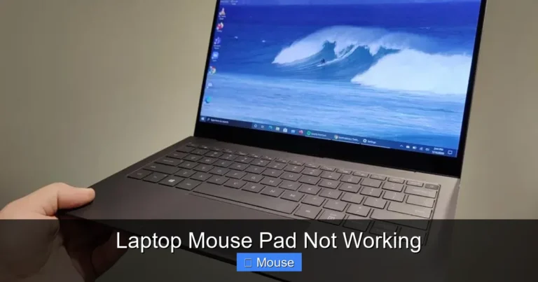 Laptop Mouse Pad Not Working
