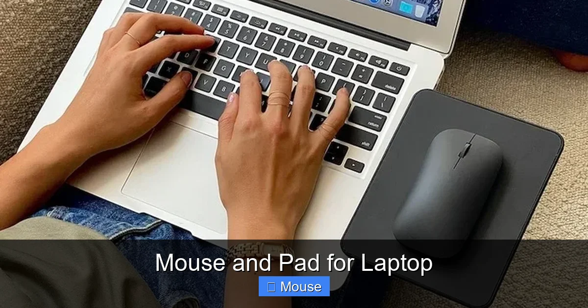 Mouse and Pad for Laptop
