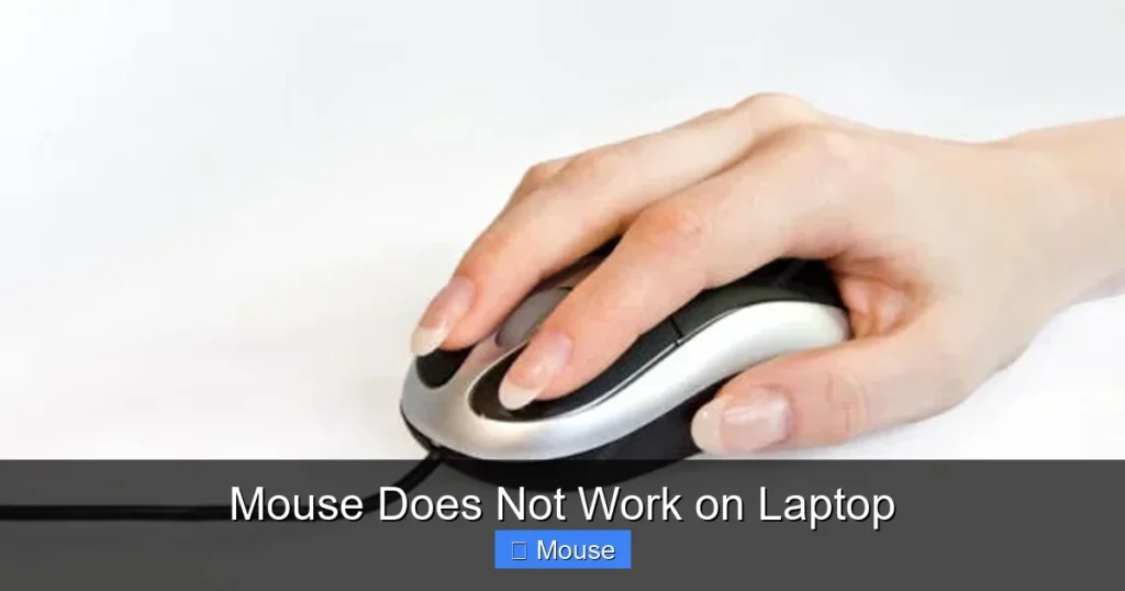 Mouse Does Not Work on Laptop