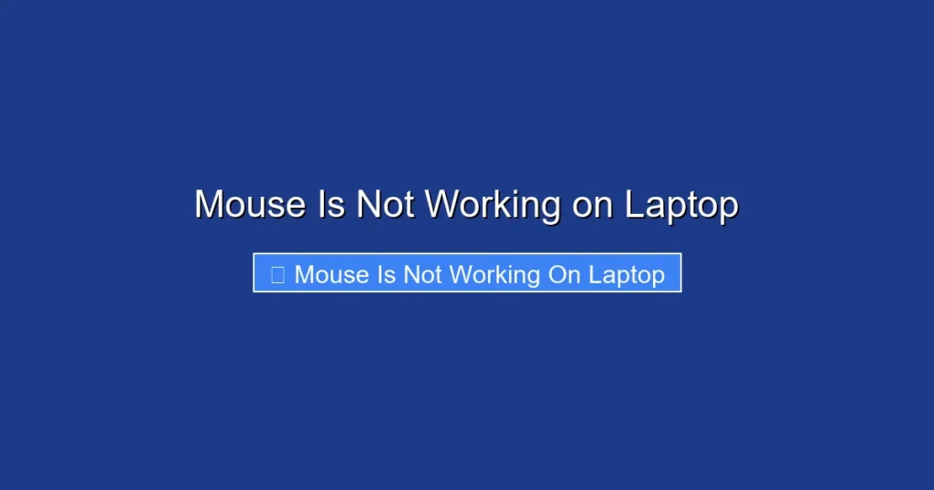 Mouse Is Not Working on Laptop