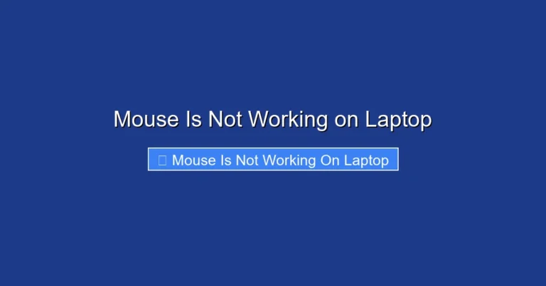 Mouse Is Not Working on Laptop