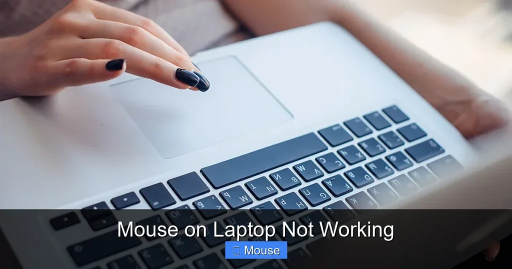Mouse on Laptop Not Working