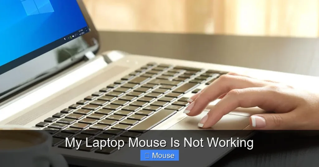 My Laptop Mouse Is Not Working