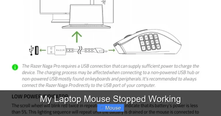 My Laptop Mouse Stopped Working