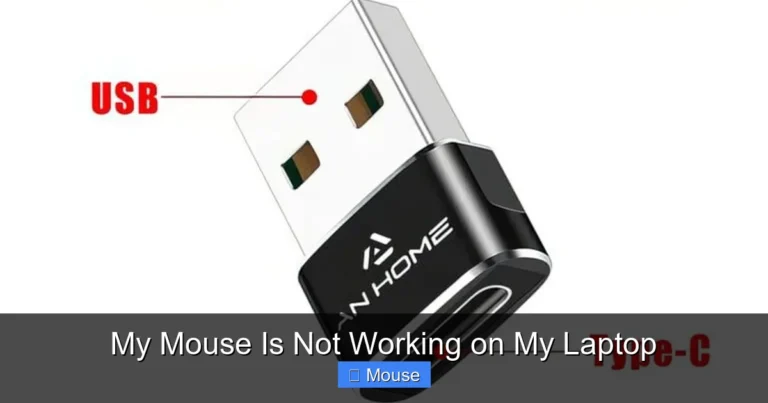 My Mouse Is Not Working on My Laptop