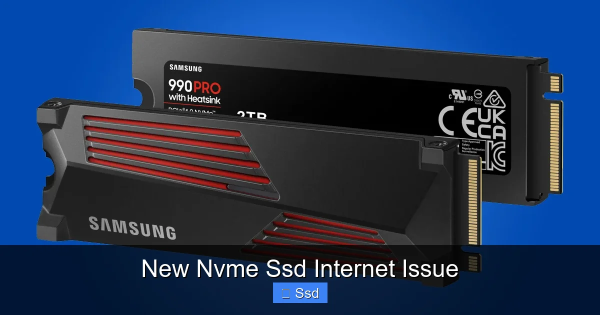 New Nvme Ssd Internet Issue