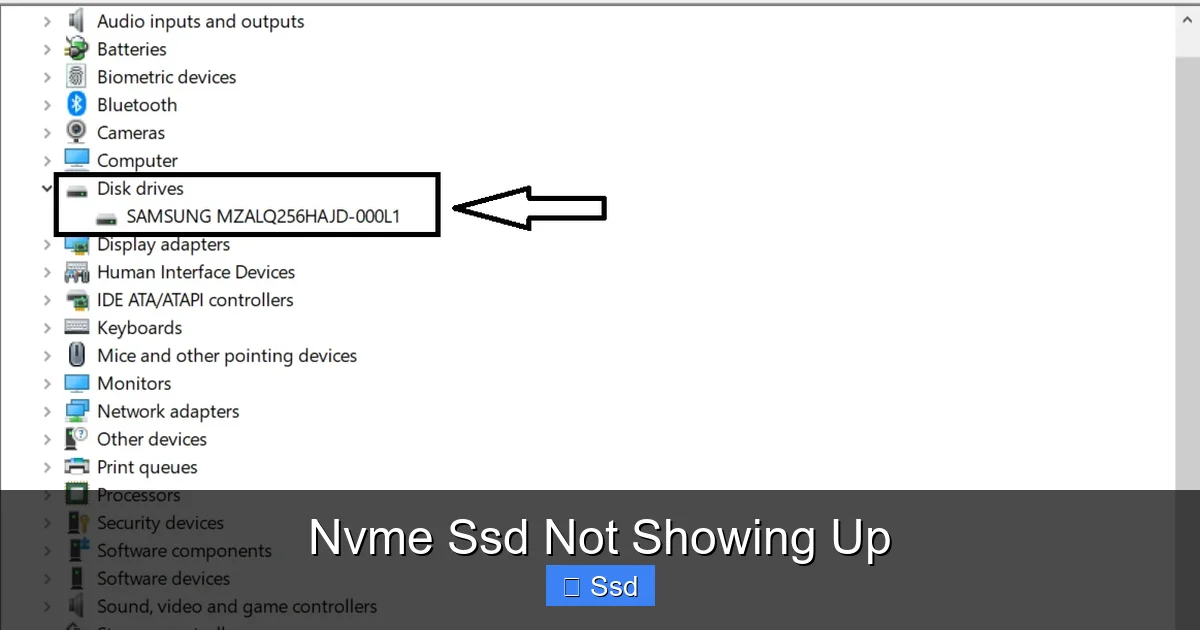Nvme Ssd Not Showing Up