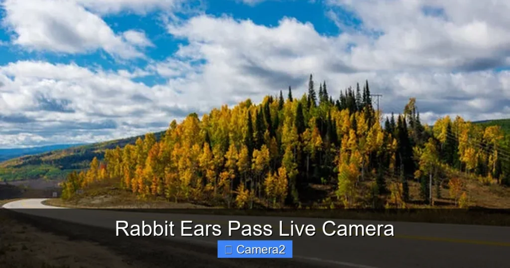 Rabbit Ears Pass Live Camera