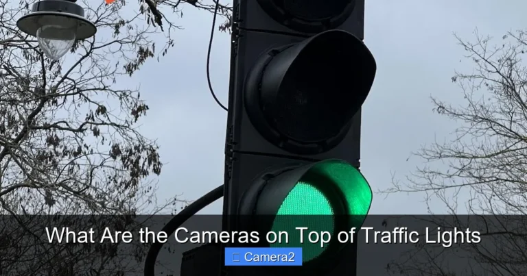 What Are the Cameras on Top of Traffic Lights