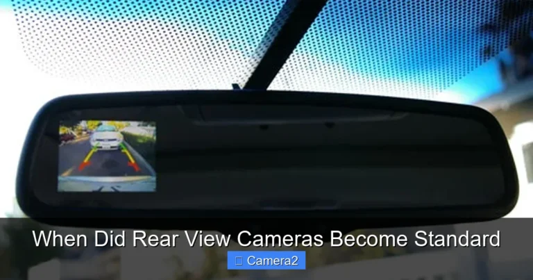When Did Rear View Cameras Become Standard