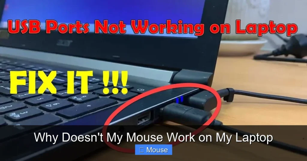 Why Doesn't My Mouse Work on My Laptop