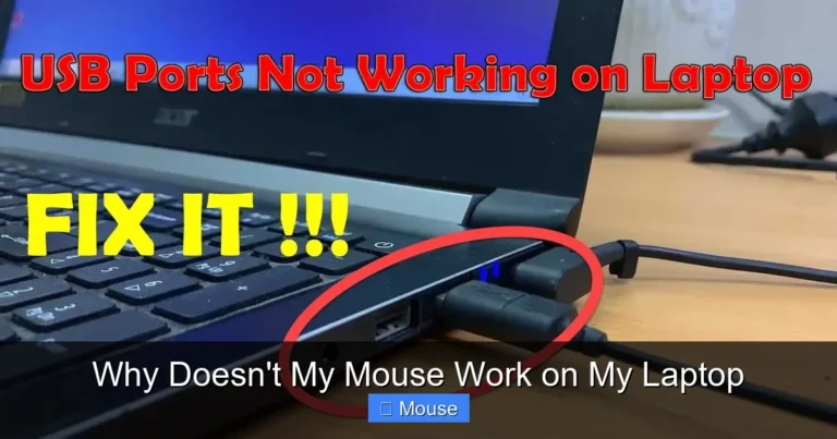 Why Doesn't My Mouse Work on My Laptop