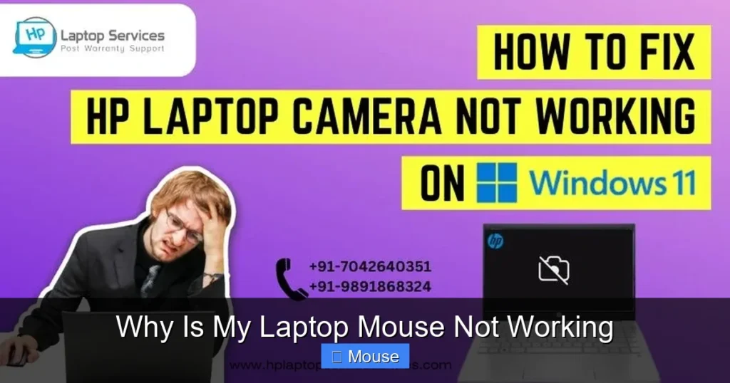 Why Is My Laptop Mouse Not Working