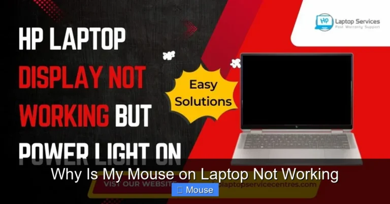 Why Is My Mouse on Laptop Not Working