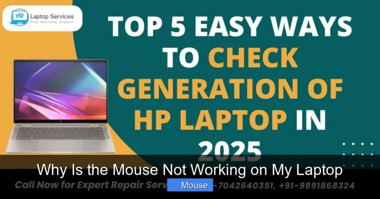 Why Is the Mouse Not Working on My Laptop
