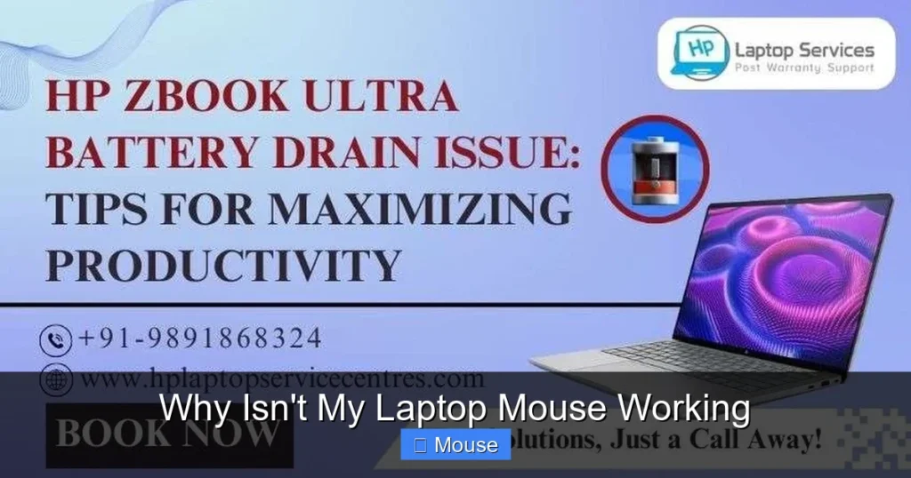 Why Isn't My Laptop Mouse Working