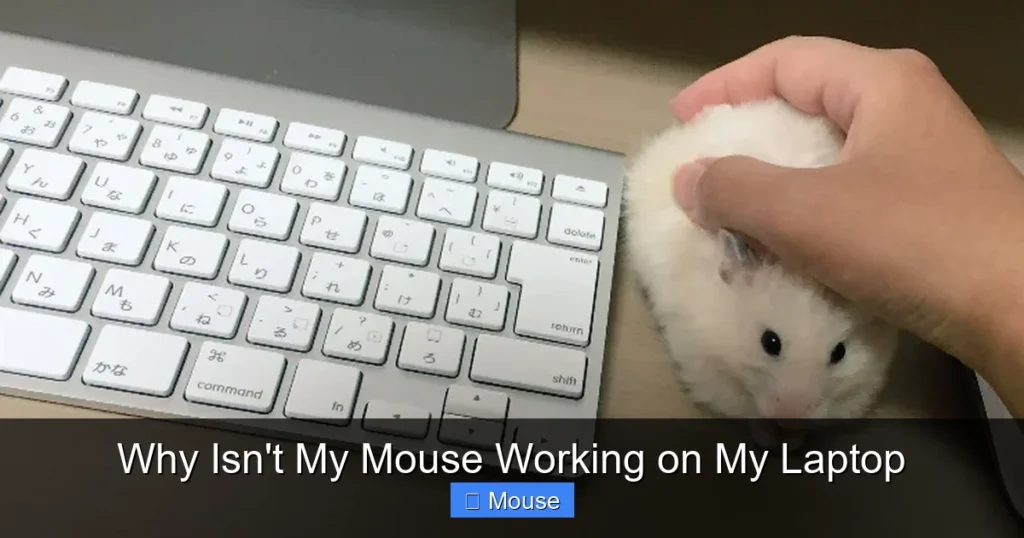 Why Isn't My Mouse Working on My Laptop