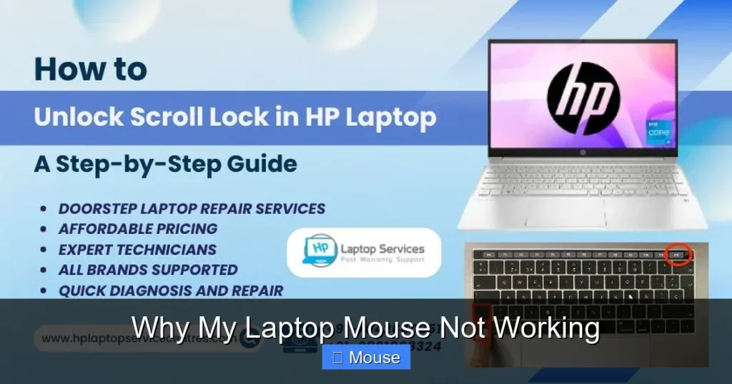 Why My Laptop Mouse Not Working