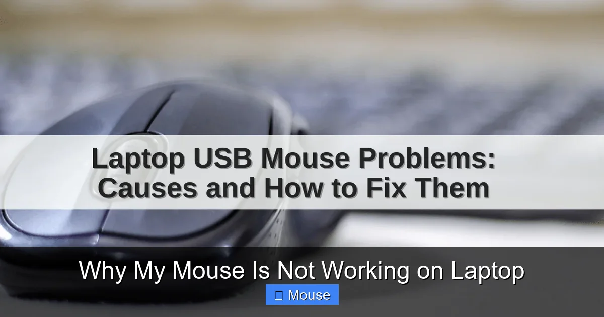 Why My Mouse Is Not Working on Laptop