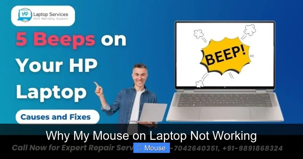 Why My Mouse on Laptop Not Working