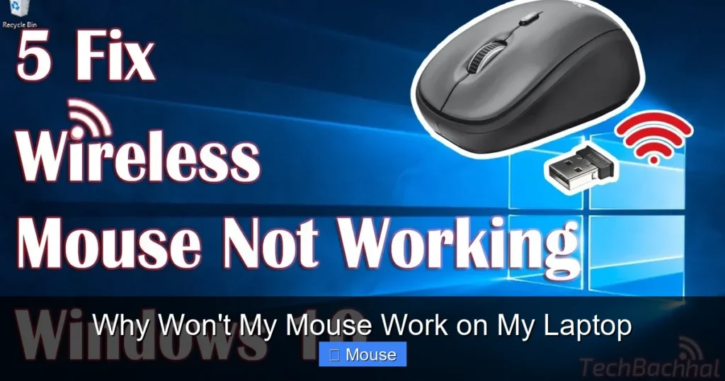 Why Won't My Mouse Work on My Laptop