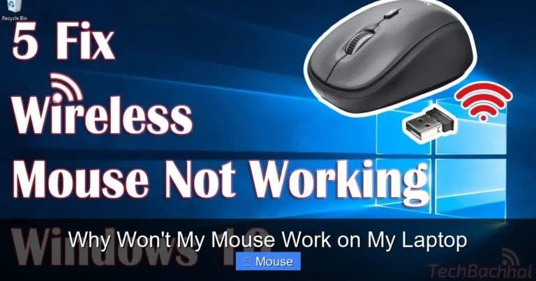 Why Won't My Mouse Work on My Laptop