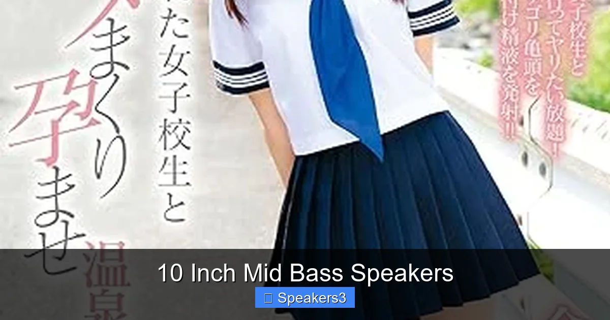 10 Inch Mid Bass Speakers