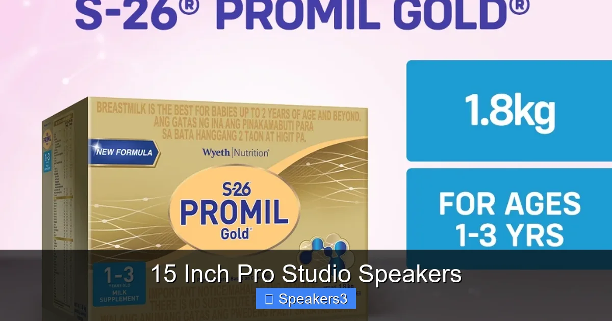 15 Inch Pro Studio Speakers