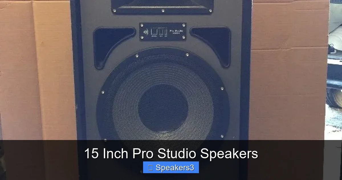 15 Inch Pro Studio Speakers