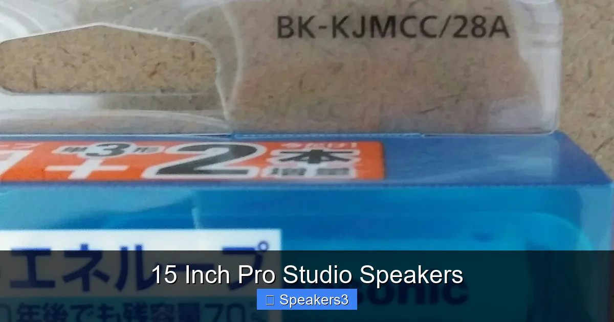 15 Inch Pro Studio Speakers