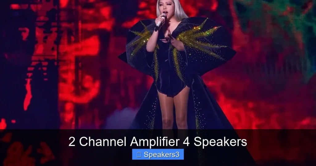 2 Channel Amplifier 4 Speakers