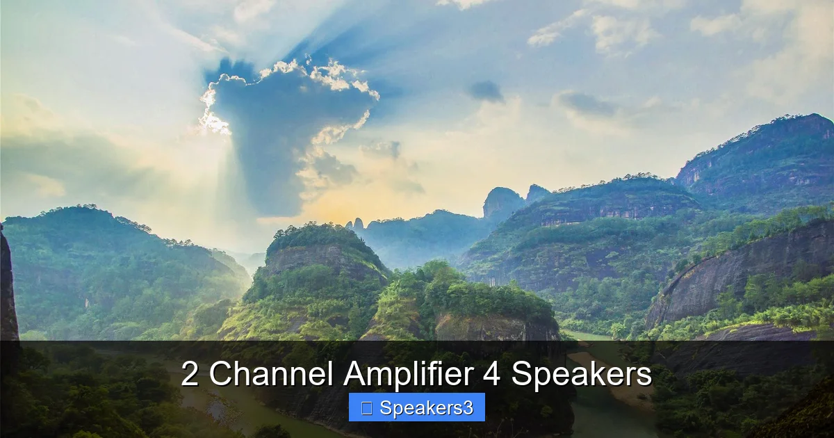 2 Channel Amplifier 4 Speakers