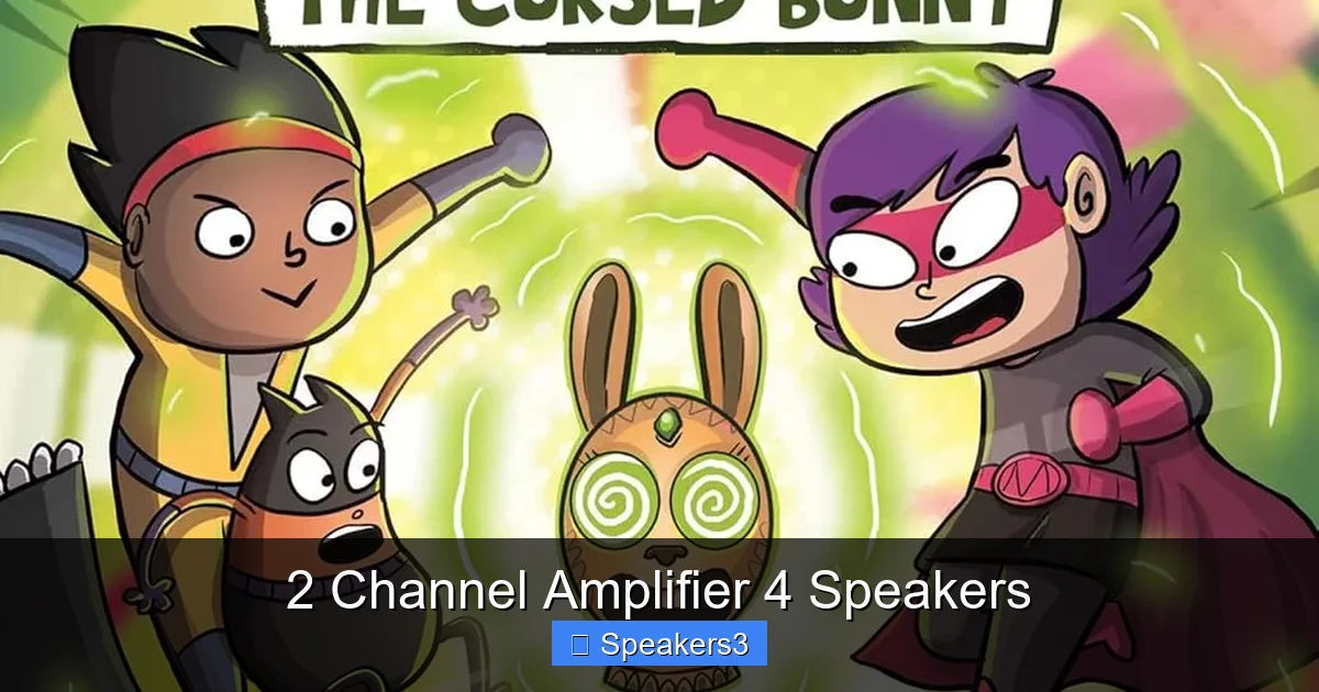 2 Channel Amplifier 4 Speakers