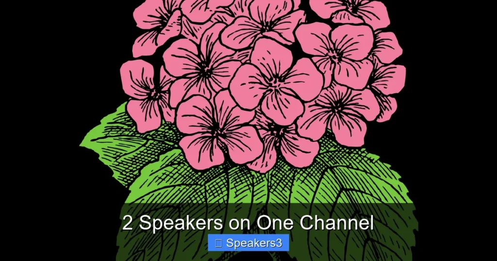 2 Speakers on One Channel