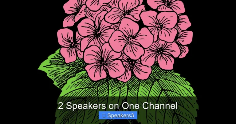 2 Speakers on One Channel