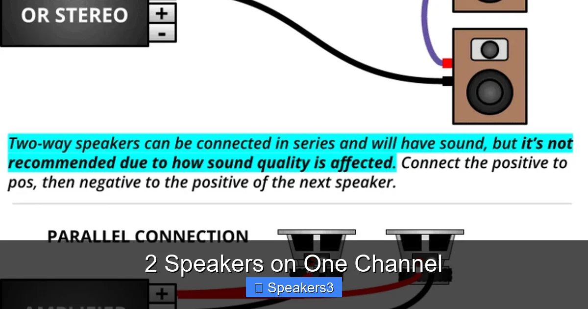 2 Speakers on One Channel