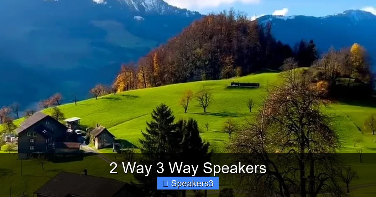 2 Way 3 Way Speakers
