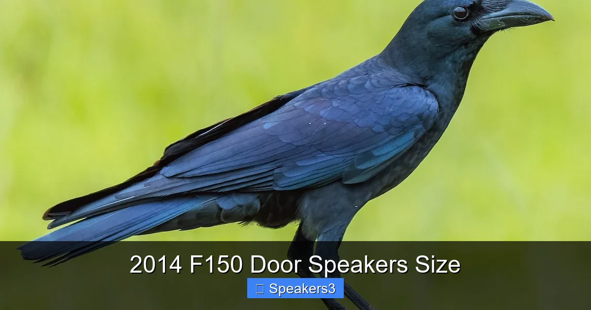 2014 F150 Door Speakers Size