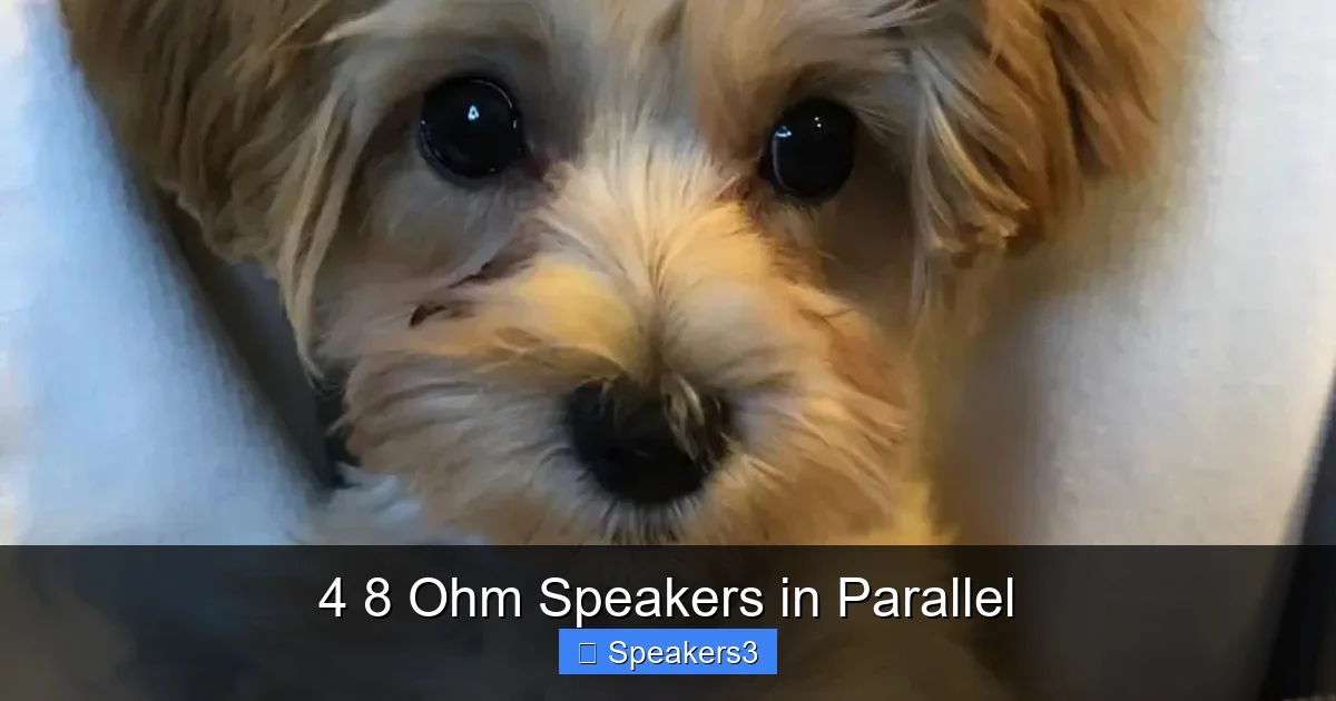 4 8 Ohm Speakers in Parallel