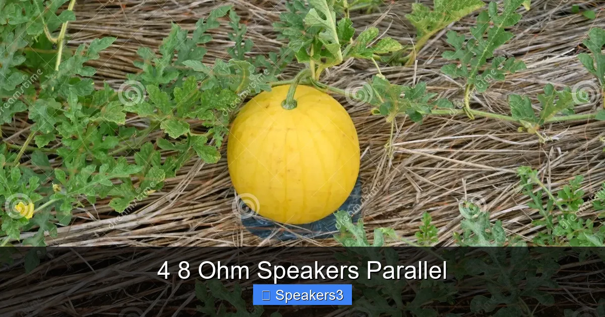 4 8 Ohm Speakers Parallel