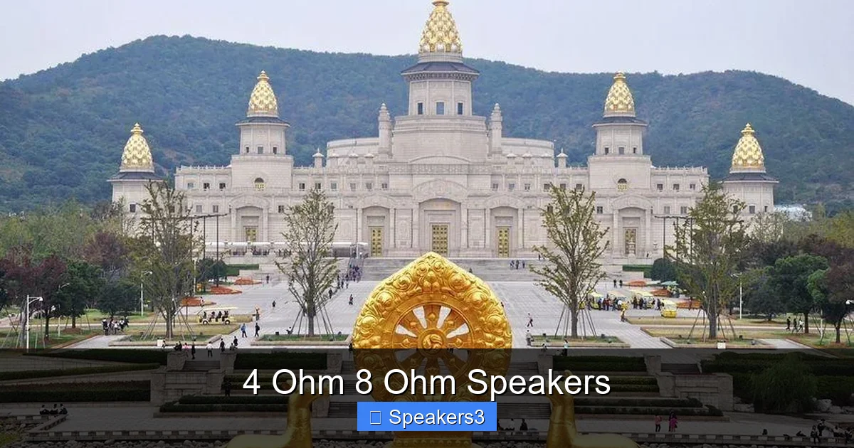4 Ohm 8 Ohm Speakers