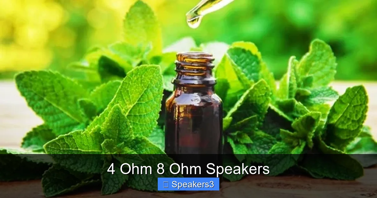4 Ohm 8 Ohm Speakers