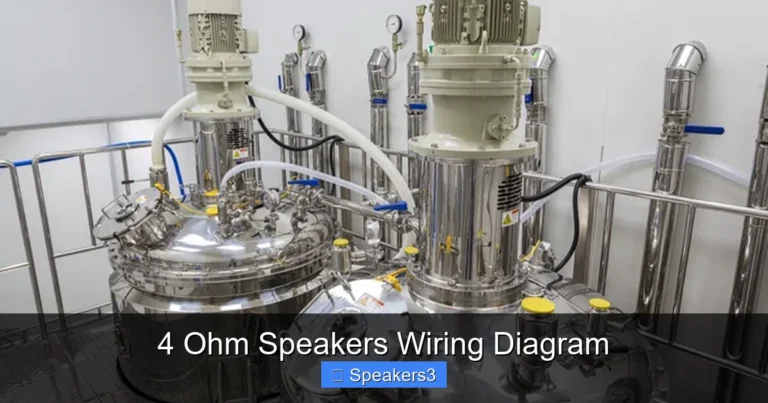 4 Ohm Speakers Wiring Diagram
